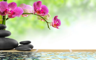 Nouveau: les massages de la piscine